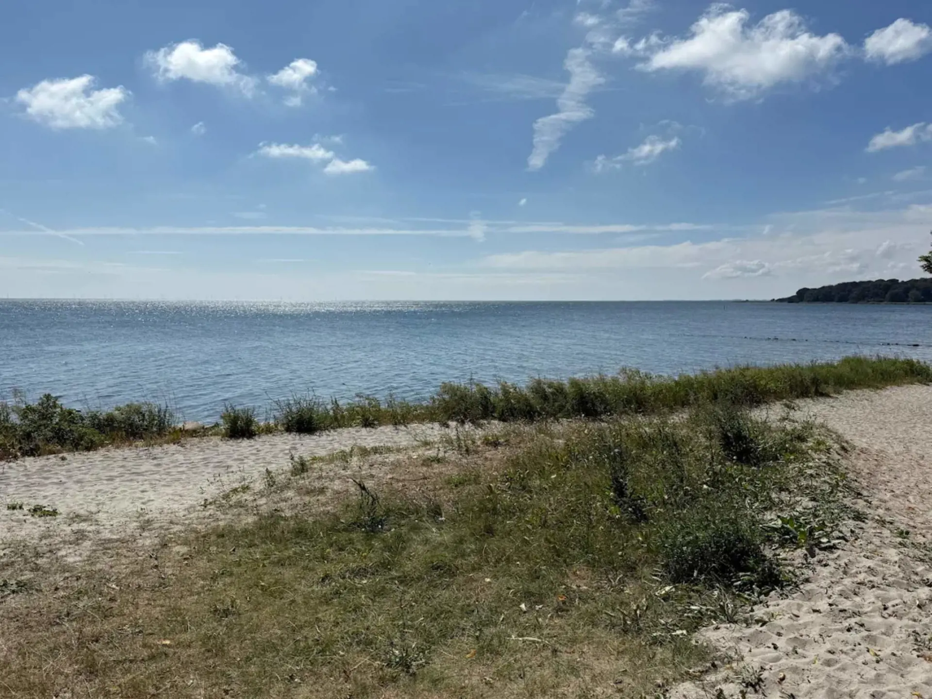 Bild 19 von 54