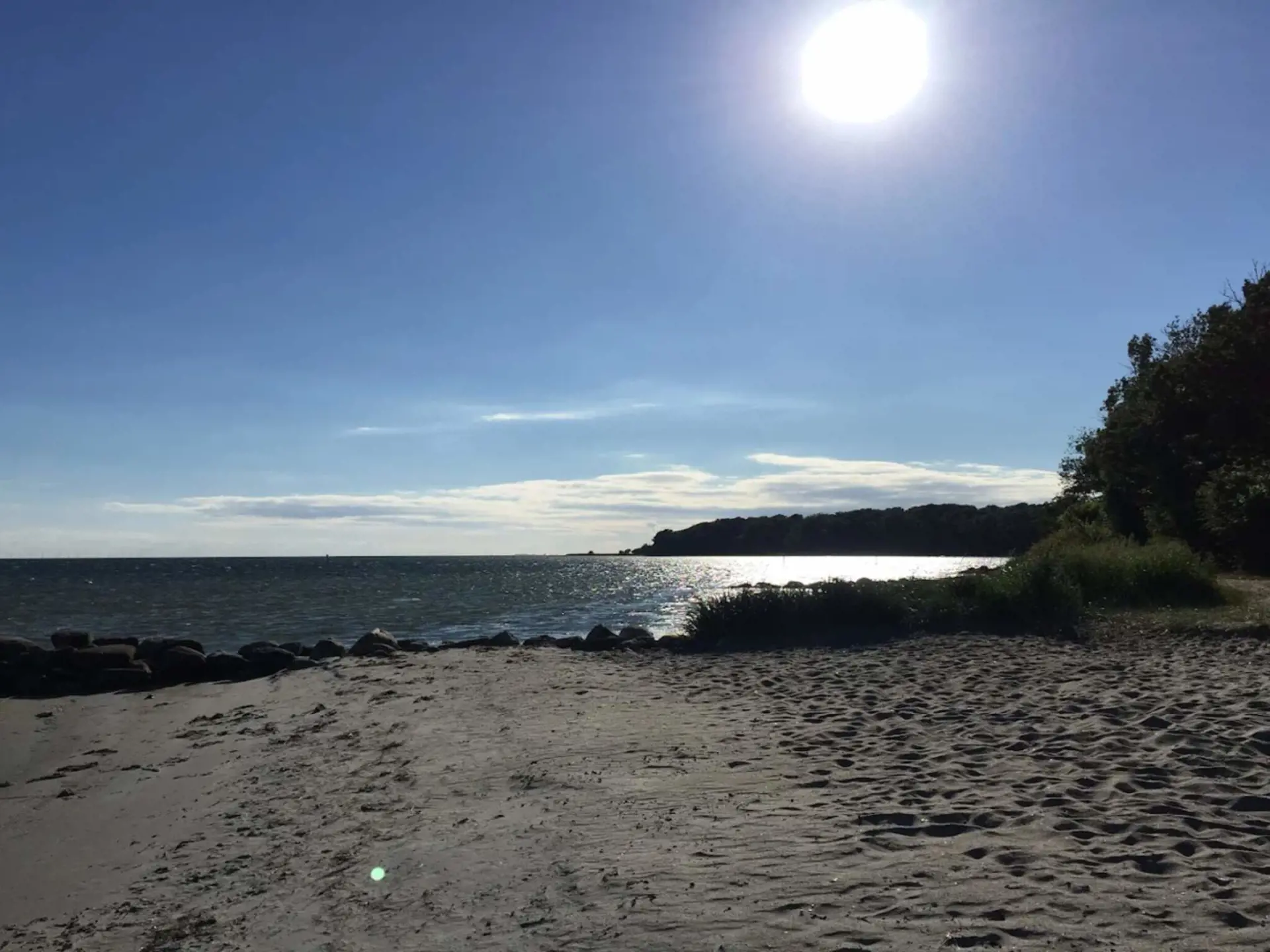 Bild 37 von 54