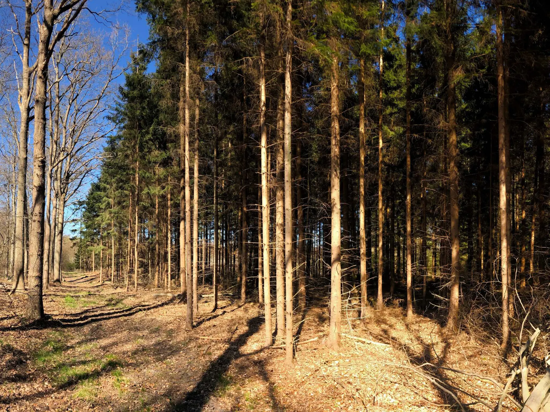 Bild 37 von 38