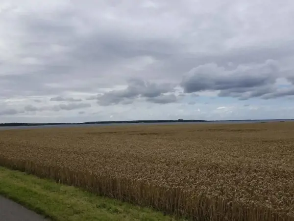 Bild 69 von 71