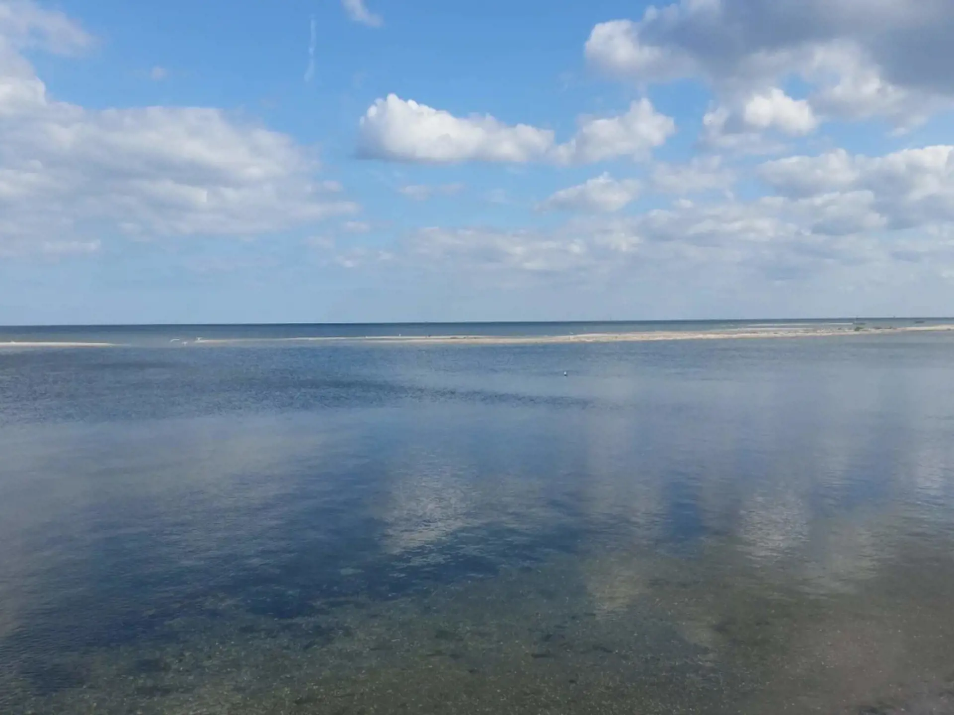 Bild 15 von 55