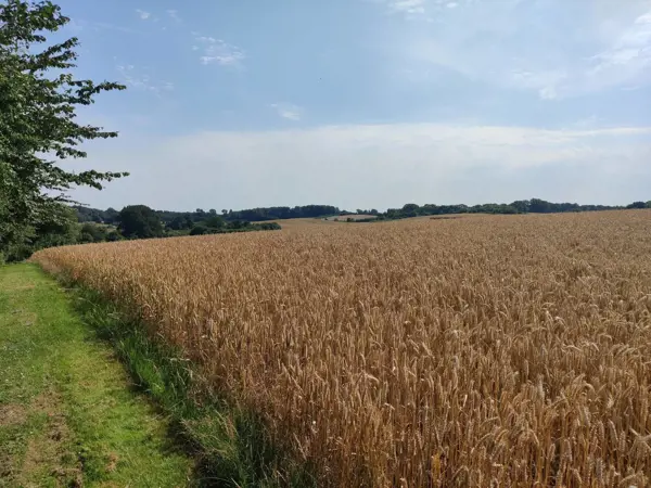 Bild 36 von 40