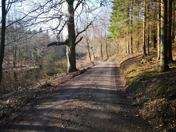 Bild 39 von 40
