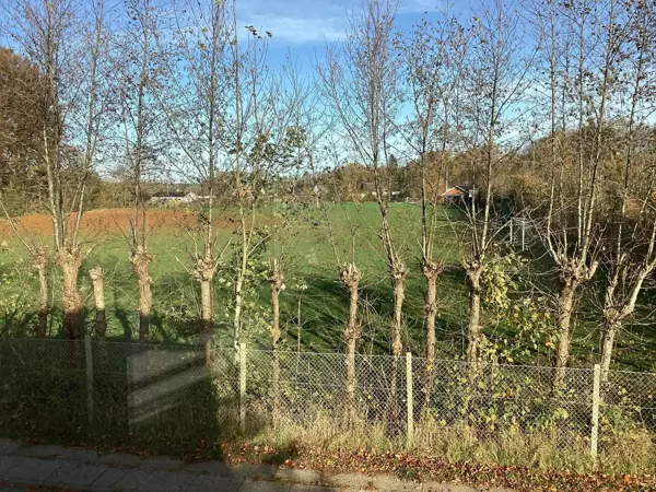 Bild 5 von 26