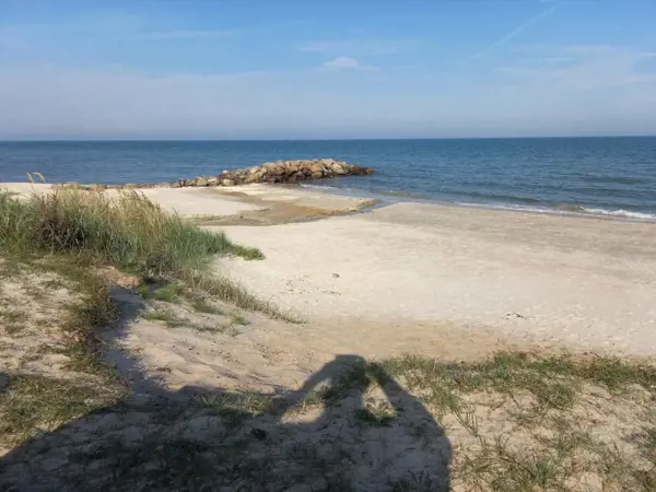Bild 21 von 36
