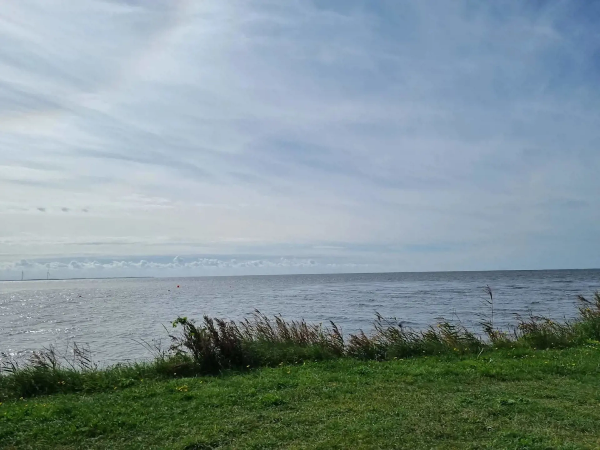 Bild 6 von 40