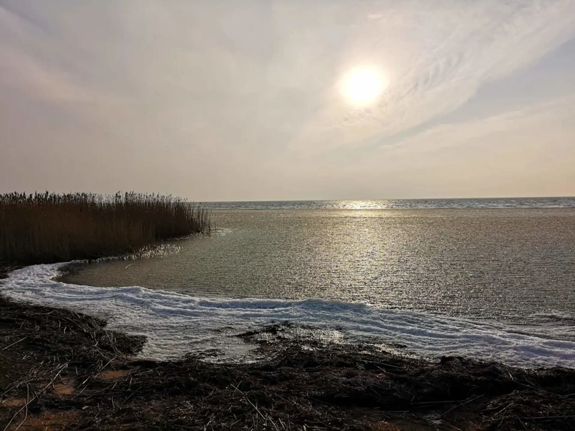 Bild 8 von 43