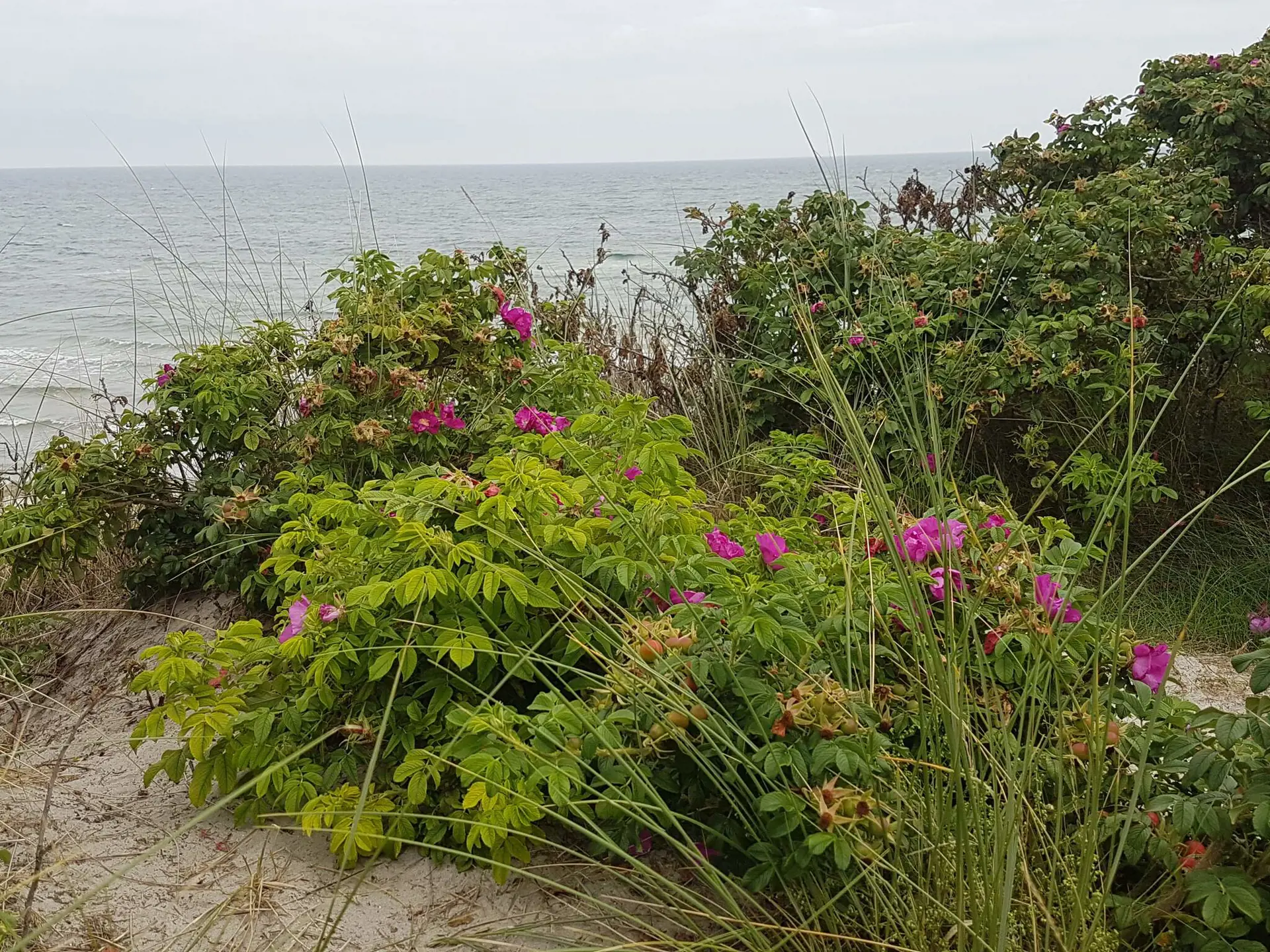 Bild 39 von 40