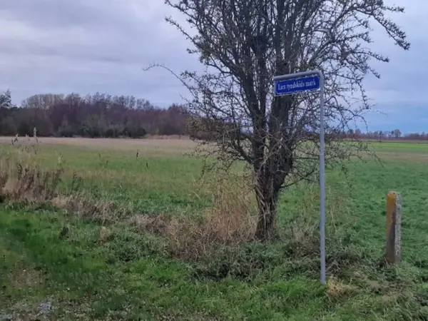 Bild 4 von 35