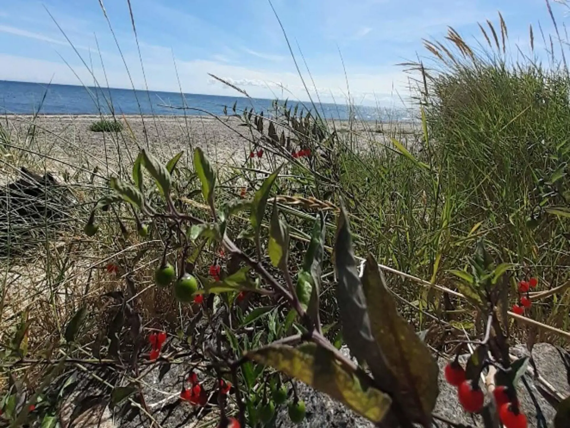 Bild 28 von 35