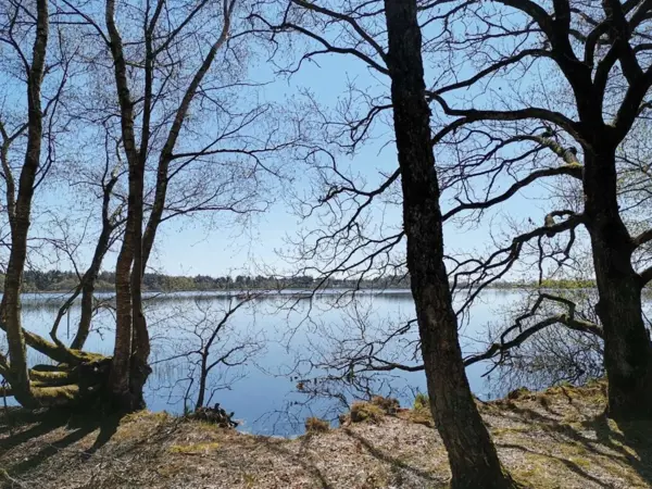Bild 24 von 41