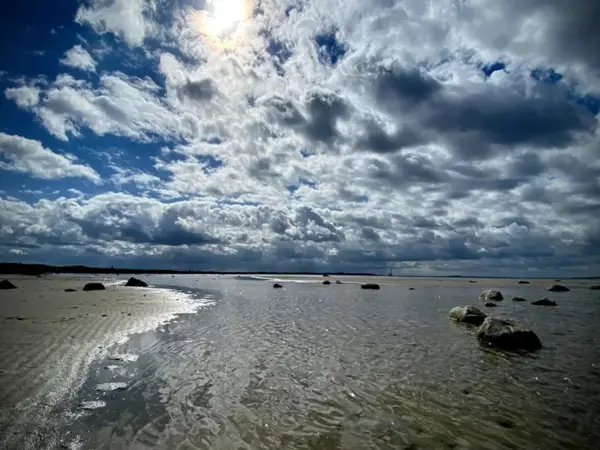 Bild 29 von 54
