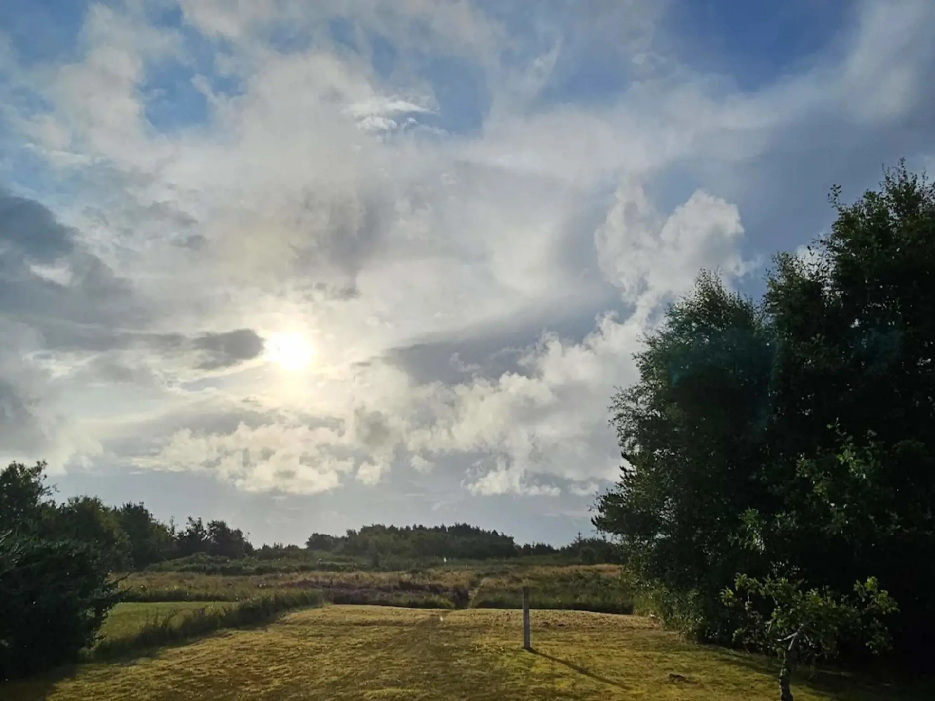 Bild 52 von 56