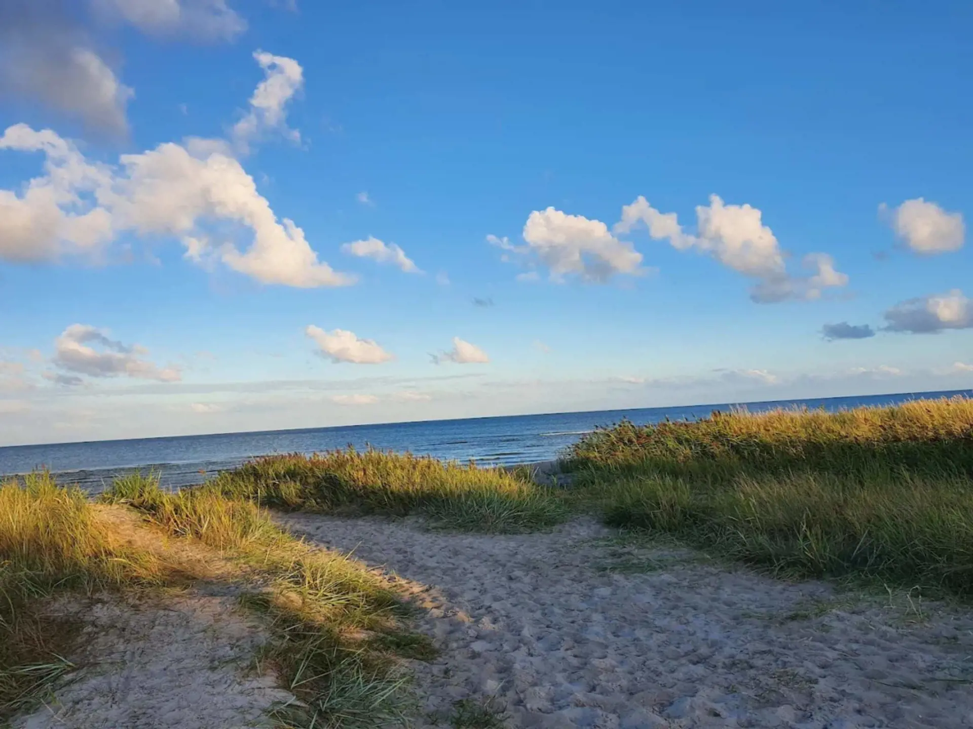 Bild 54 von 56