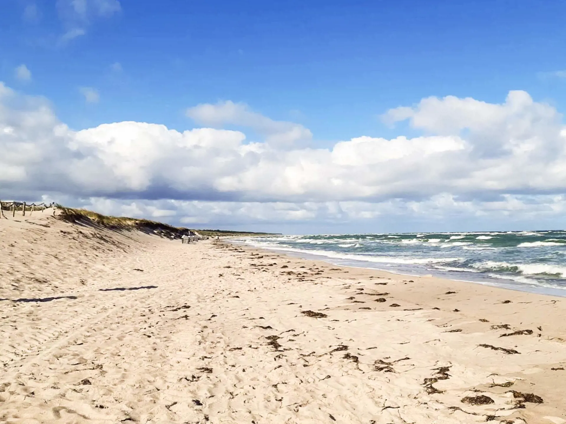 Bild 27 von 39