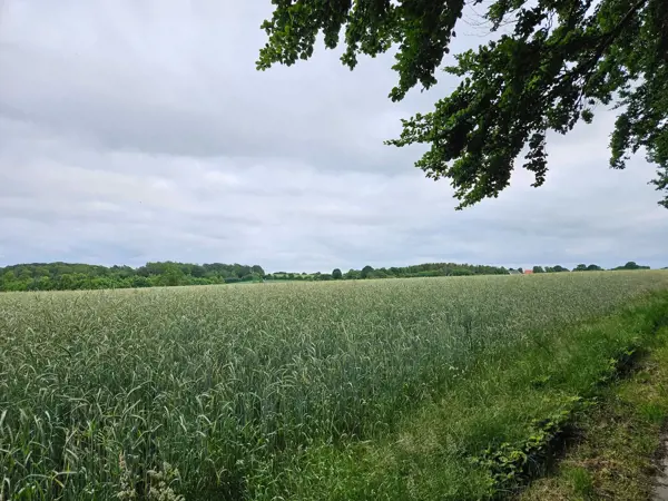 Bild 40 von 41