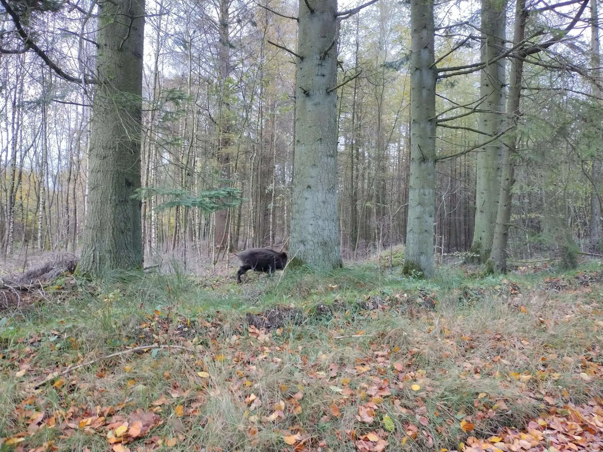 Bild 31 von 38