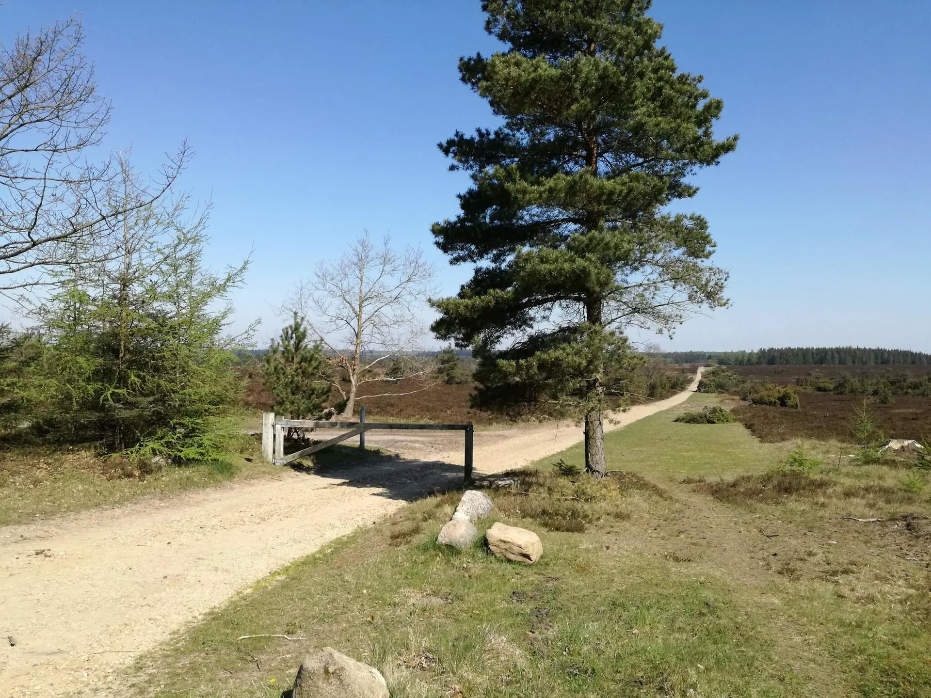 Bild 38 von 38