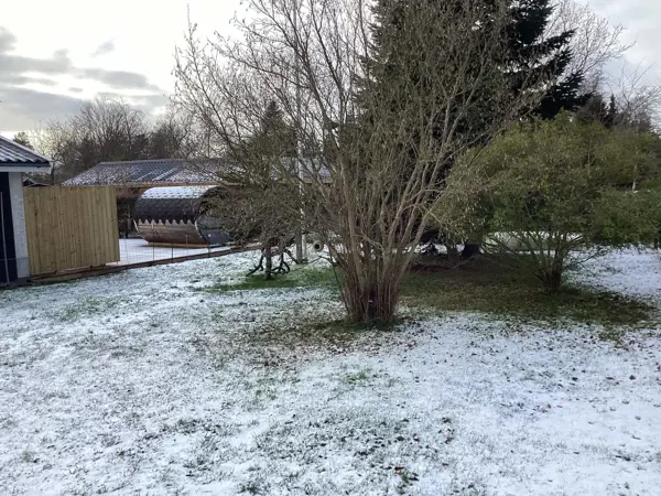Bild 6 von 20