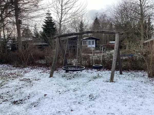Bild 8 von 20