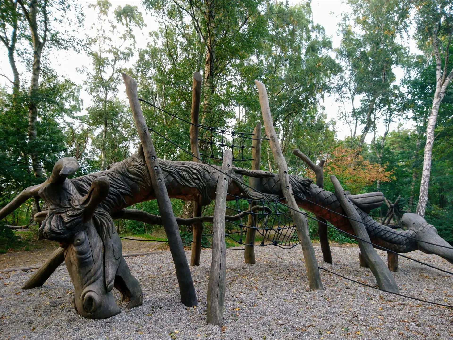 Bild 36 von 37
