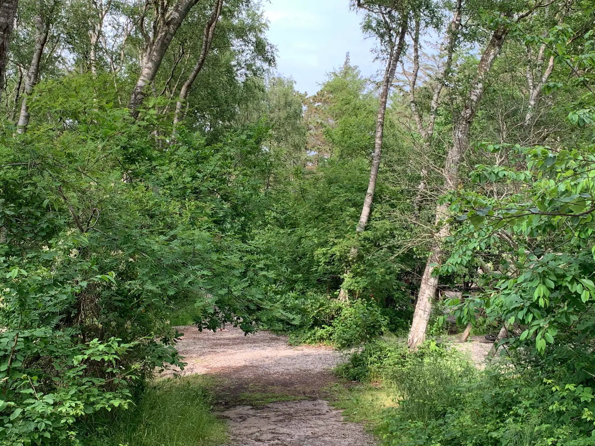 Bild 37 von 37