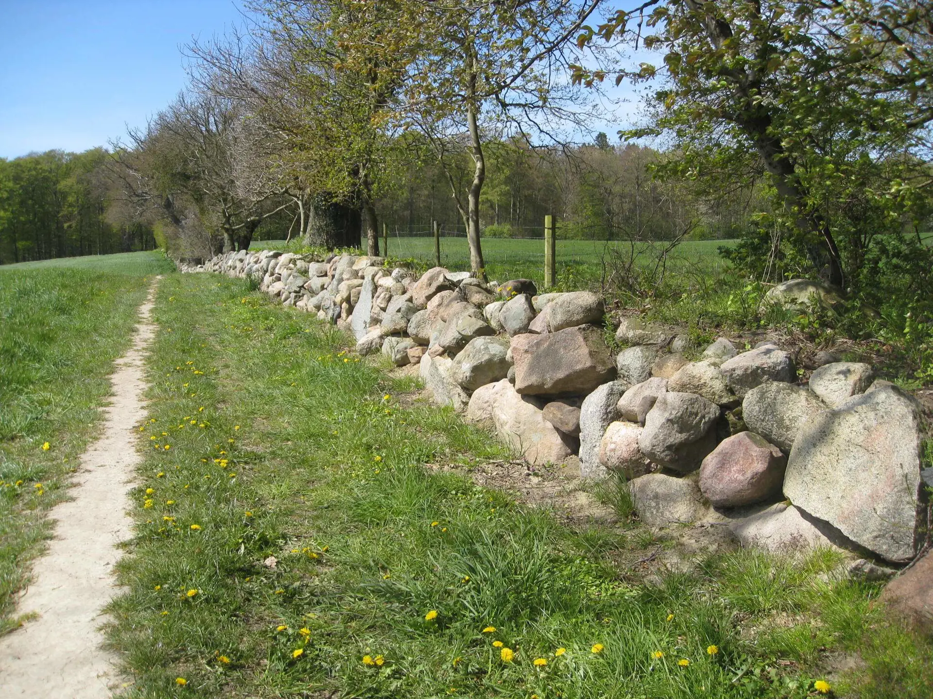 Bild 28 von 36