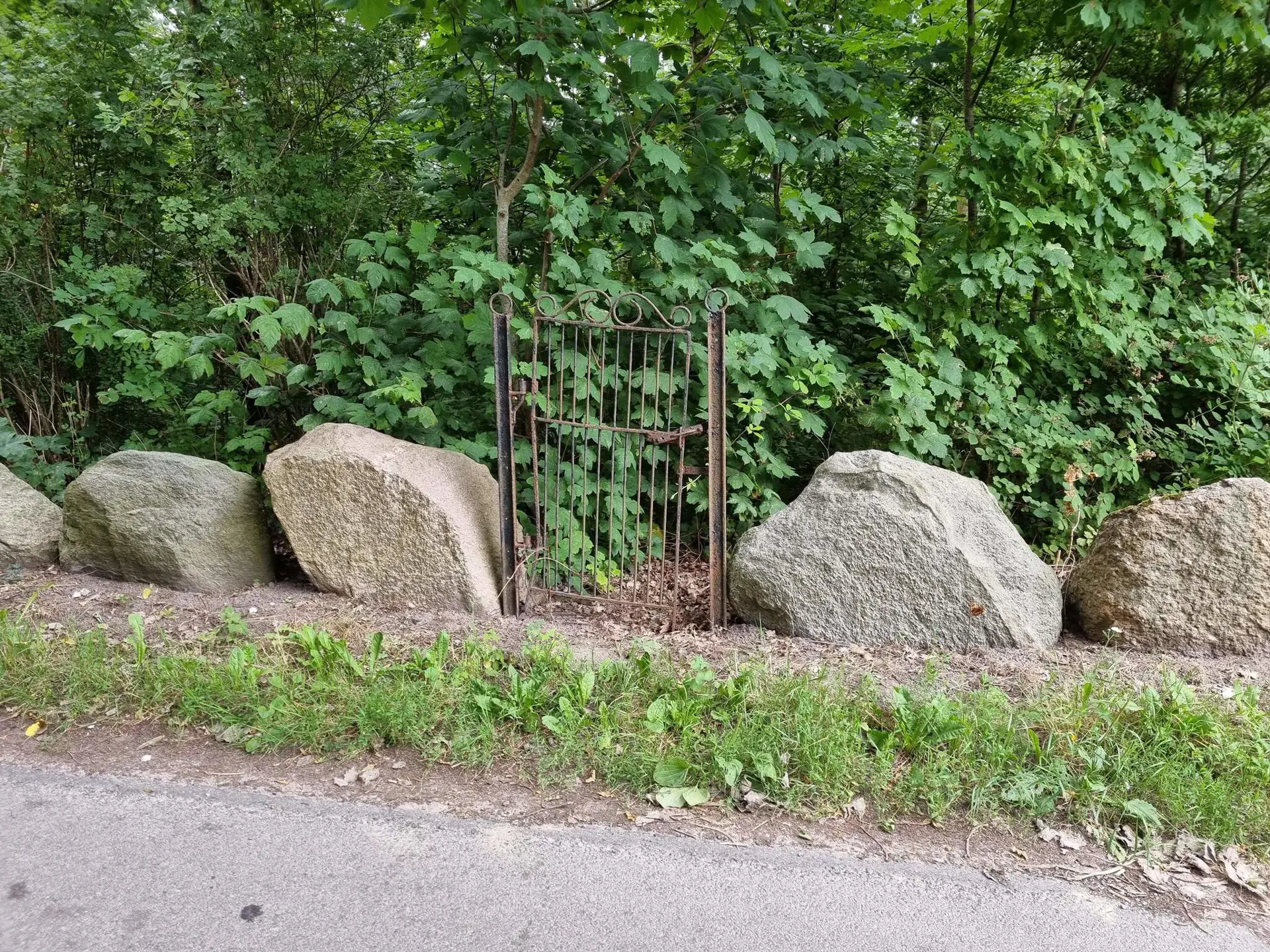 Bild 29 von 36