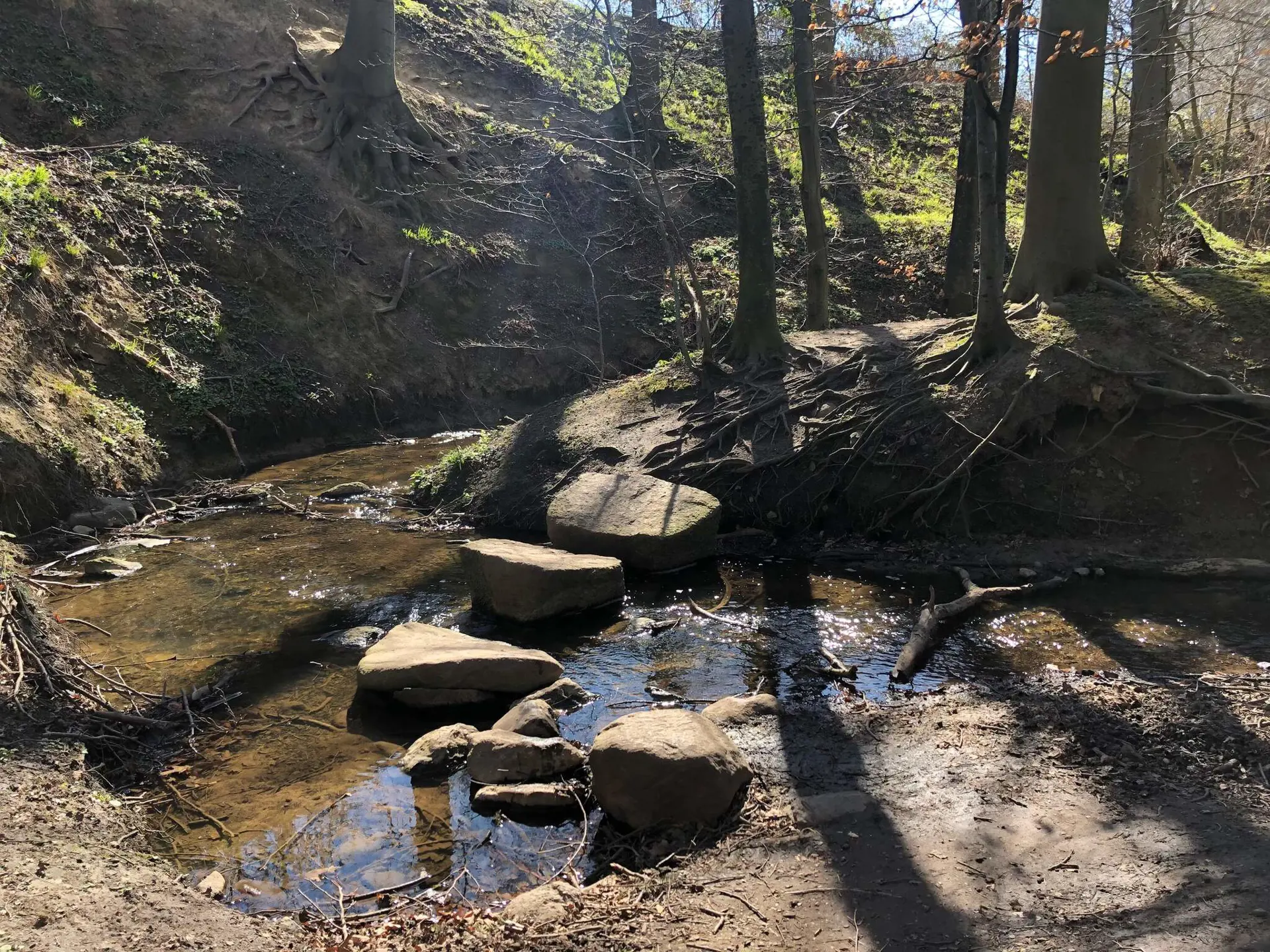 Bild 31 von 36