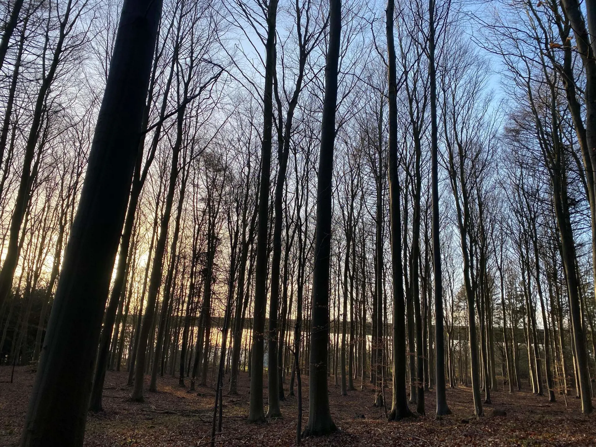 Bild 34 von 36