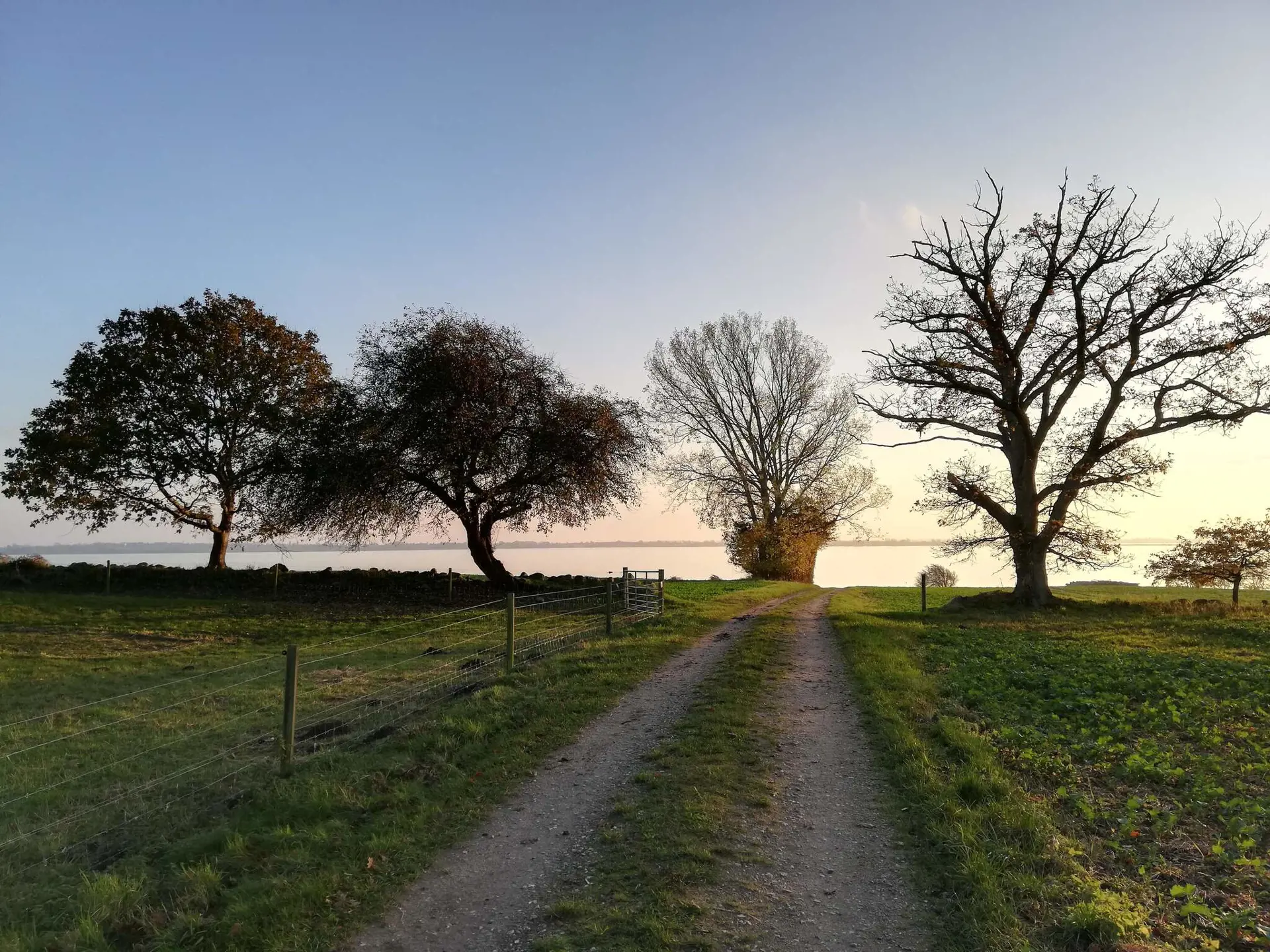 Bild 36 von 36