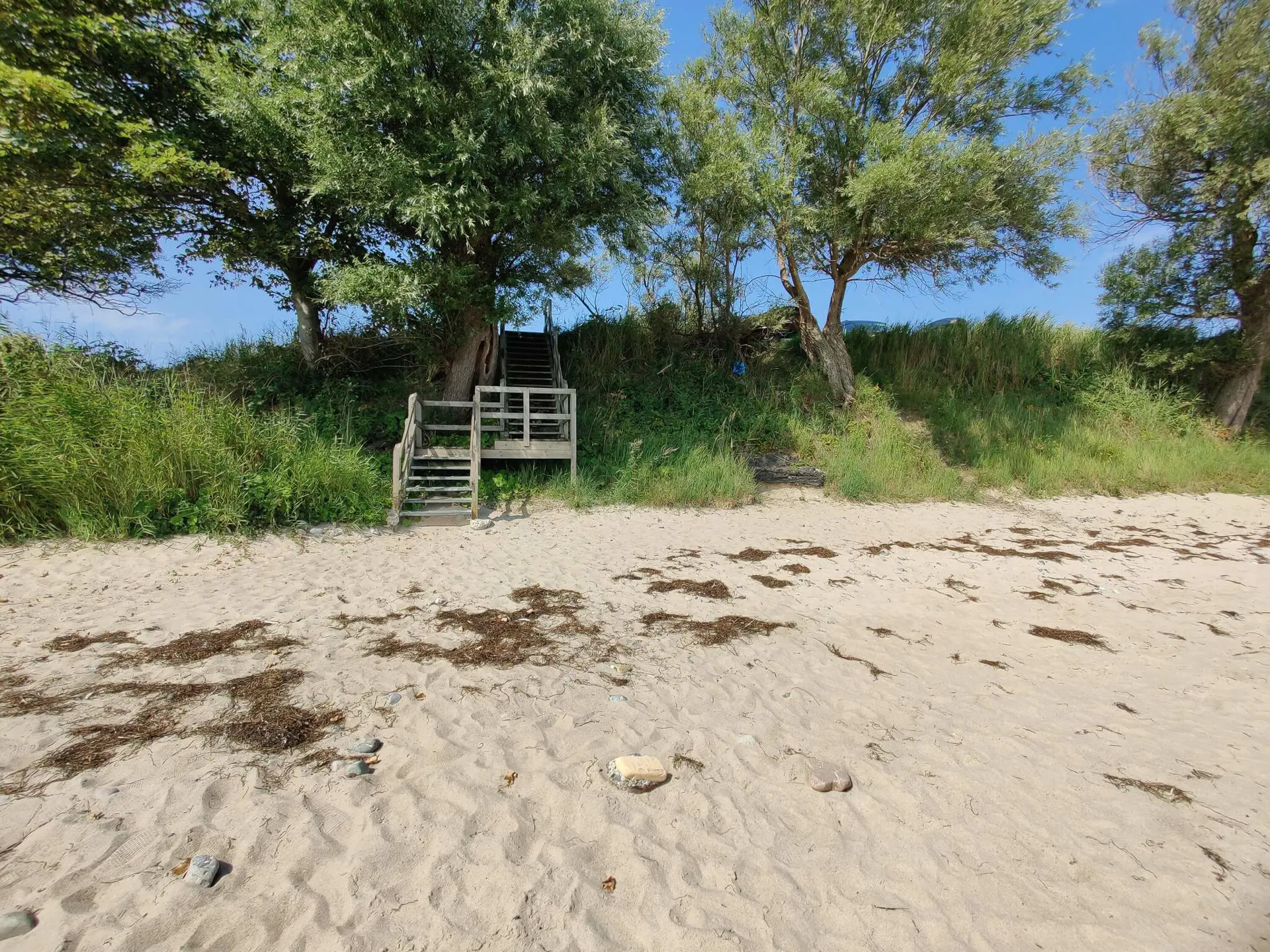 Bild 39 von 40