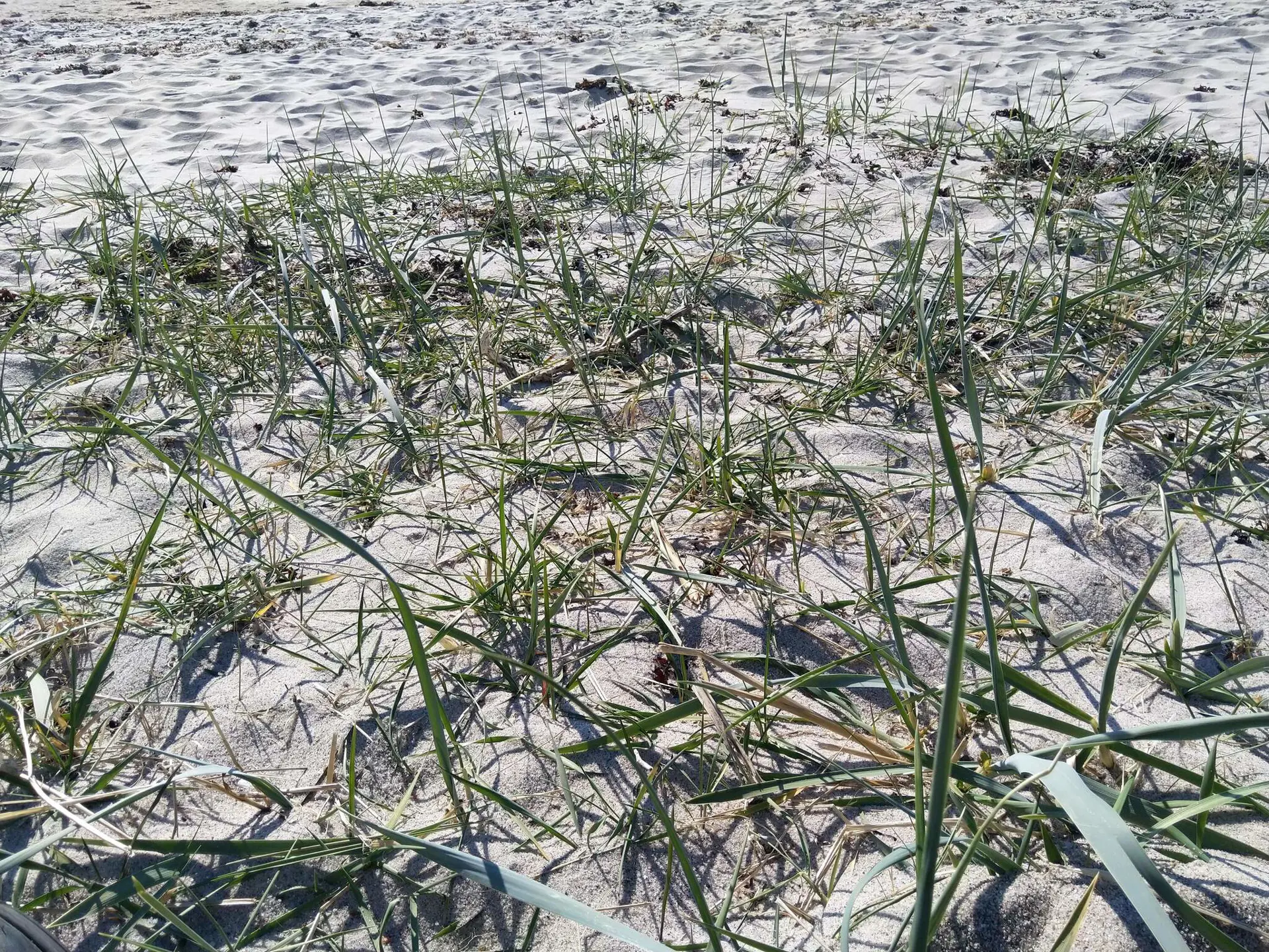 Bild 36 von 37
