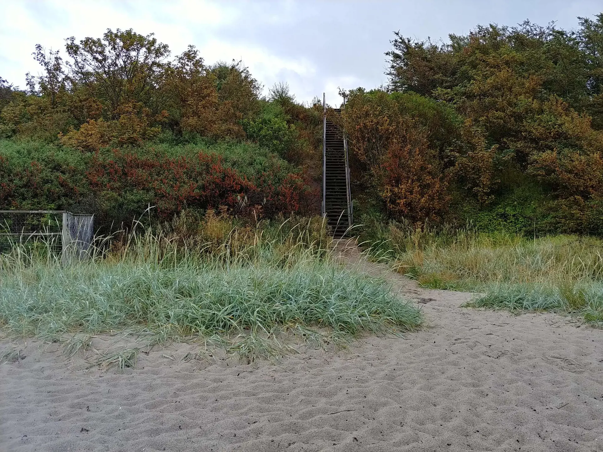 Bild 37 von 37