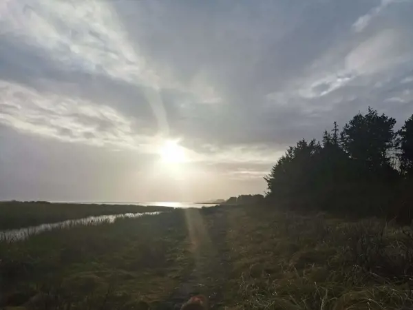Bild 39 von 42
