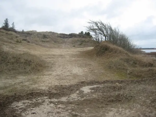 Bild 41 von 42
