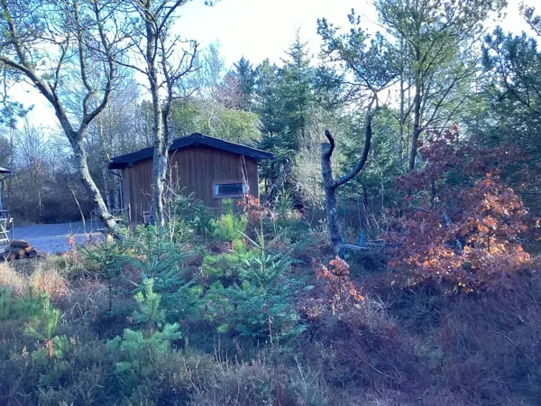 Bild 5 von 41