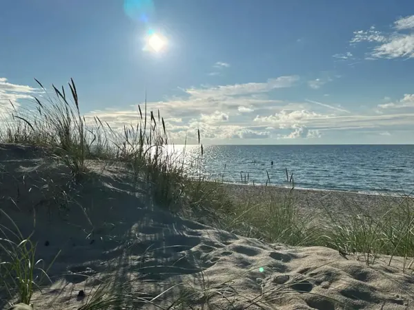 Bild 6 von 32