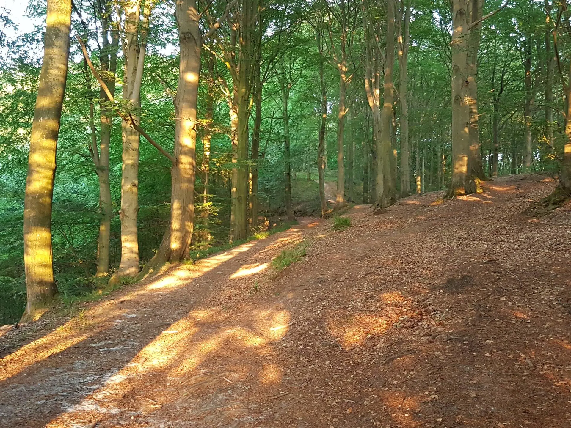 Bild 34 von 36