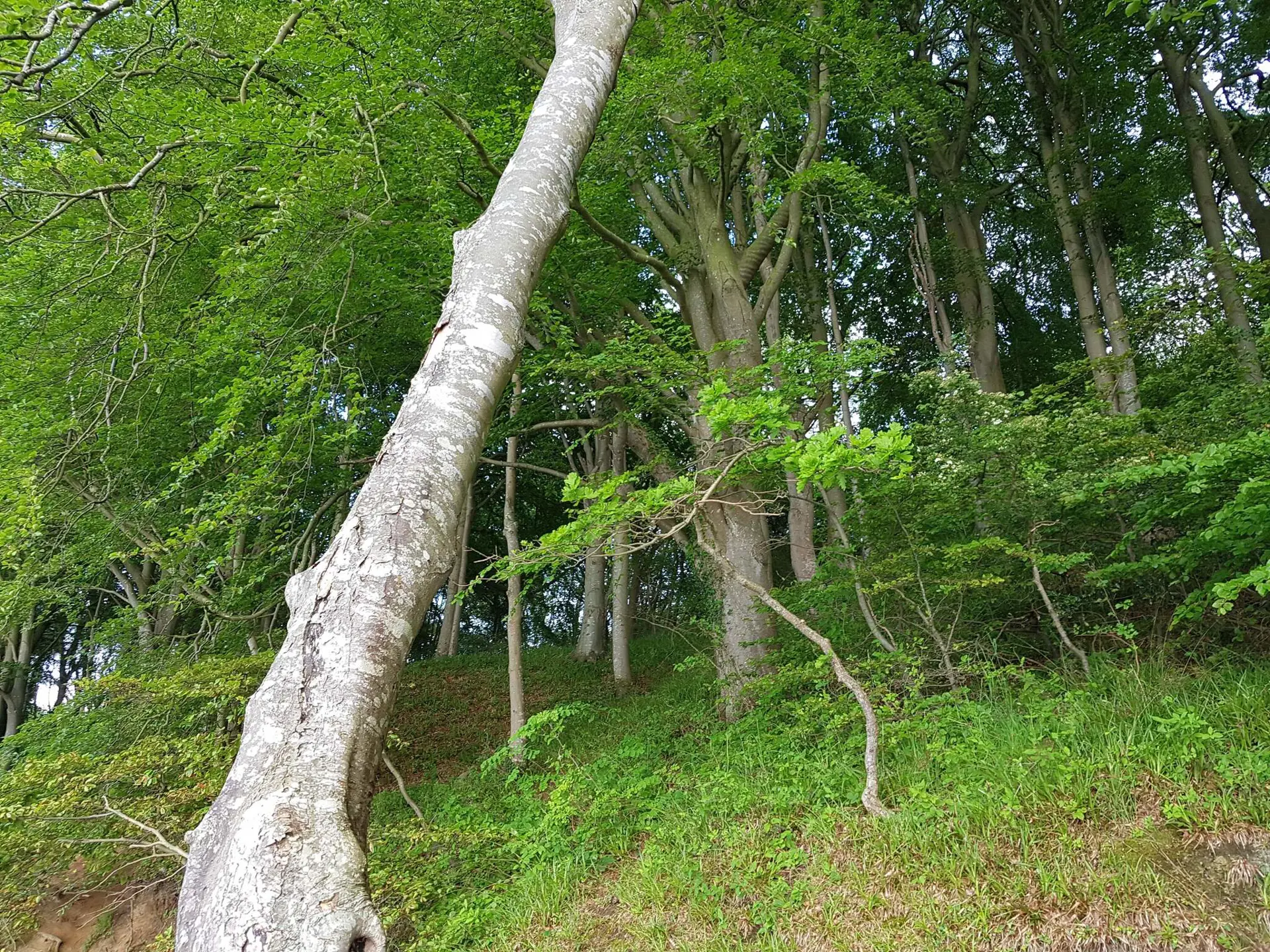 Bild 36 von 36
