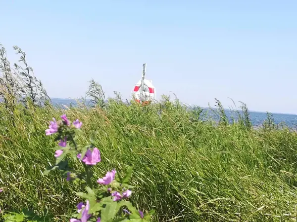 Bild 38 von 42