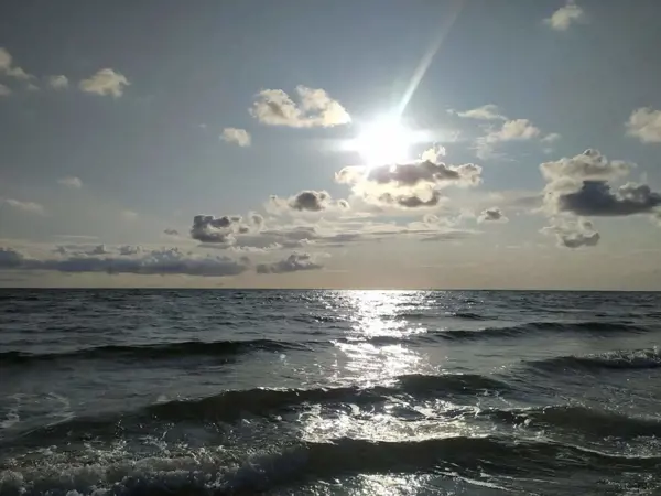 Bild 5 von 37