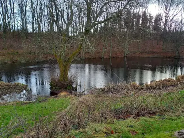 Bild 16 von 40