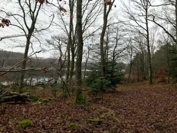 Bild 18 von 40