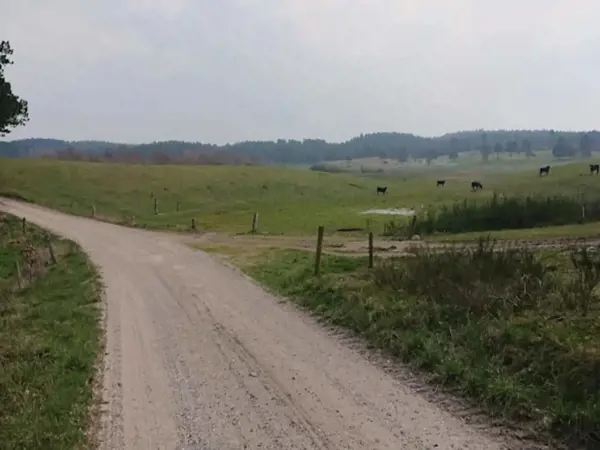 Bild 39 von 40