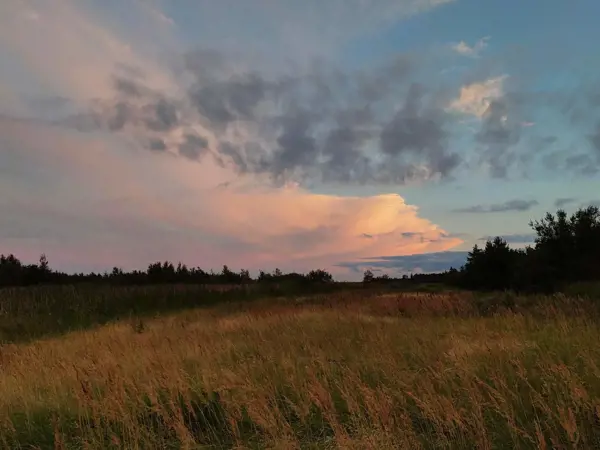Bild 38 von 40