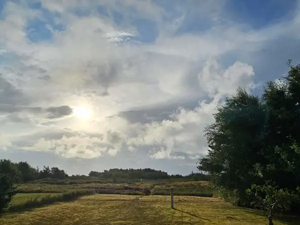 Bild 39 von 40