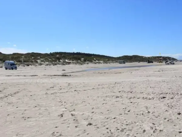 Bild 6 von 34