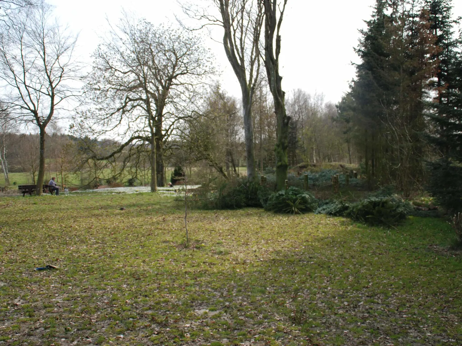 Bild 31 von 42