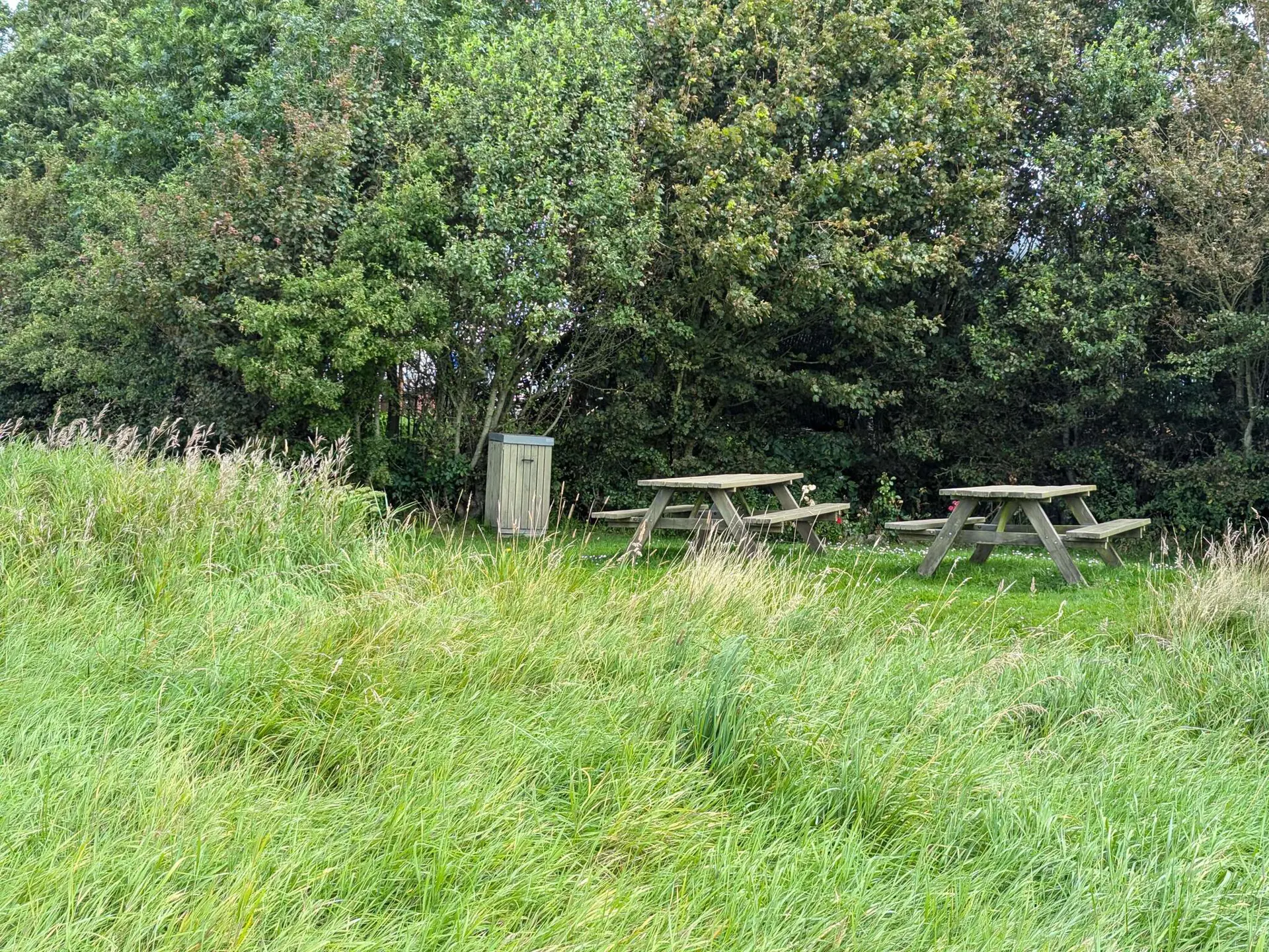 Bild 35 von 42